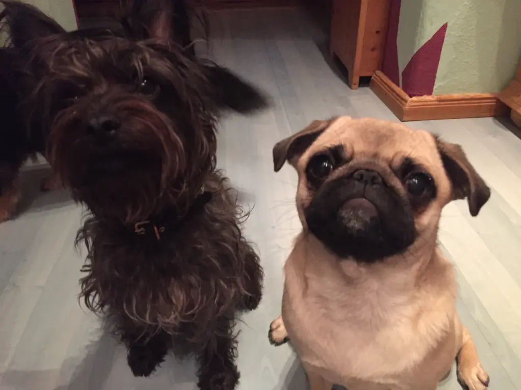 Frida und ihre Schwester Emma