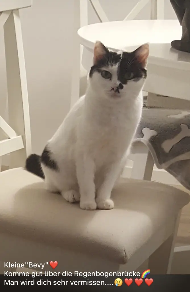 Andachtsbild von Daniela Schmidt