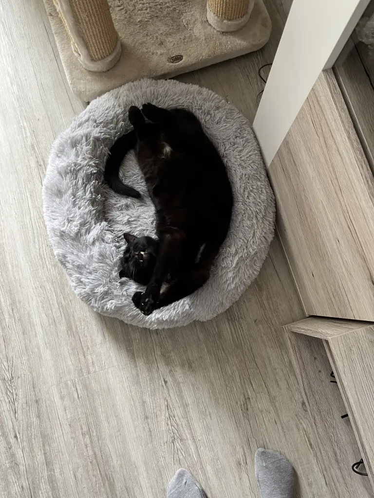 Entspannung