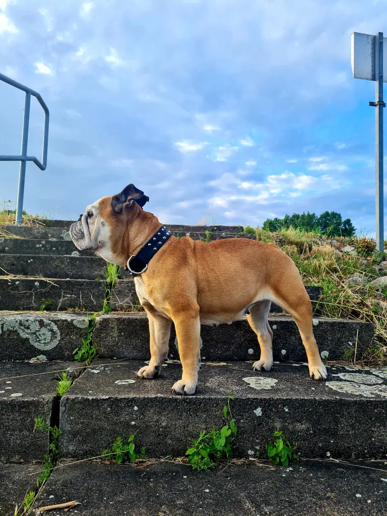 Bild von Maja