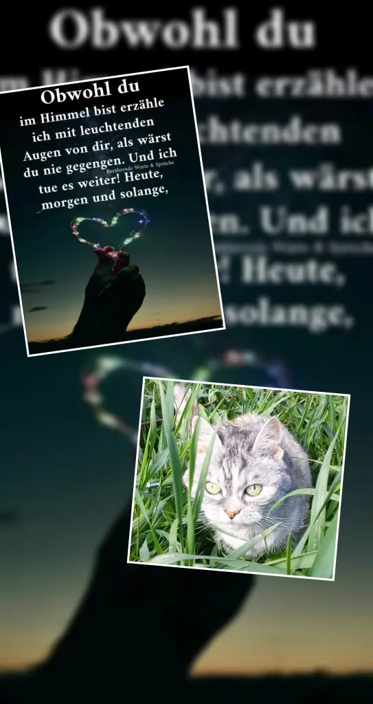 Condolence image of Liebe stirbst nicht