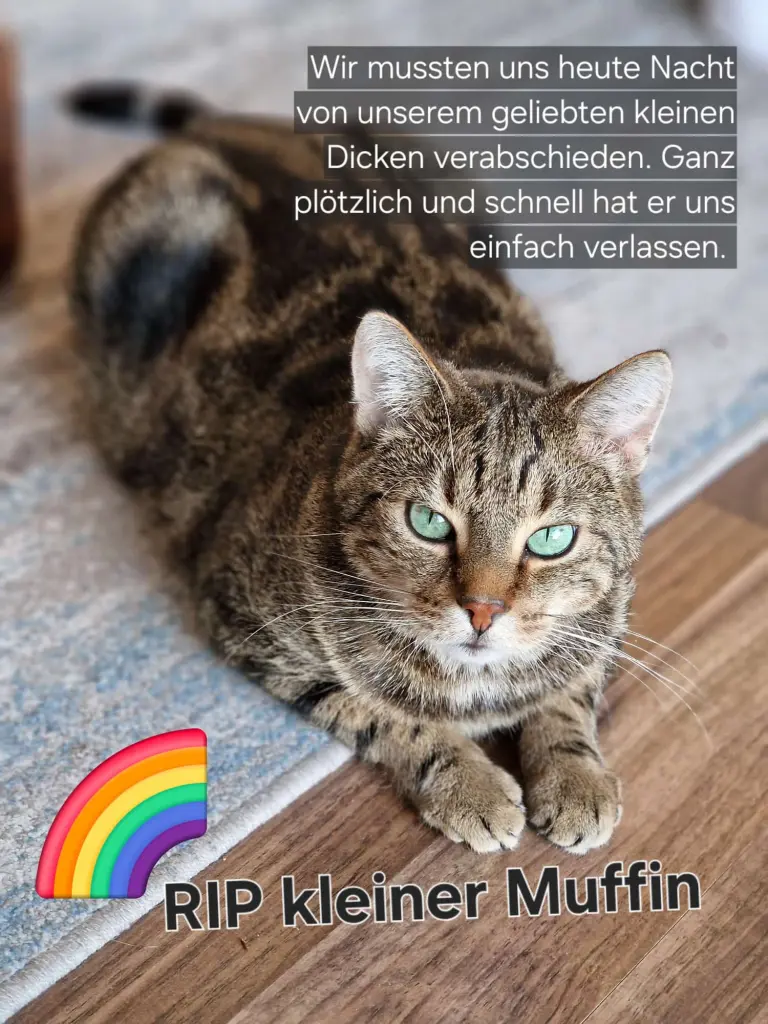 Image from Muffin