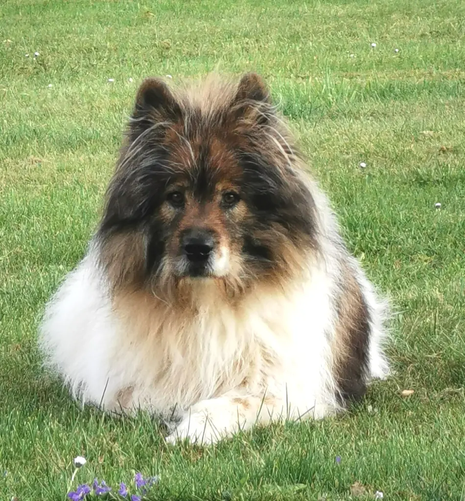 Bild von Stanley