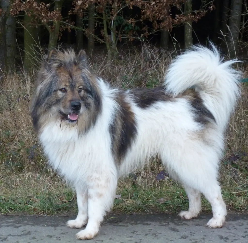 Bild von Stanley