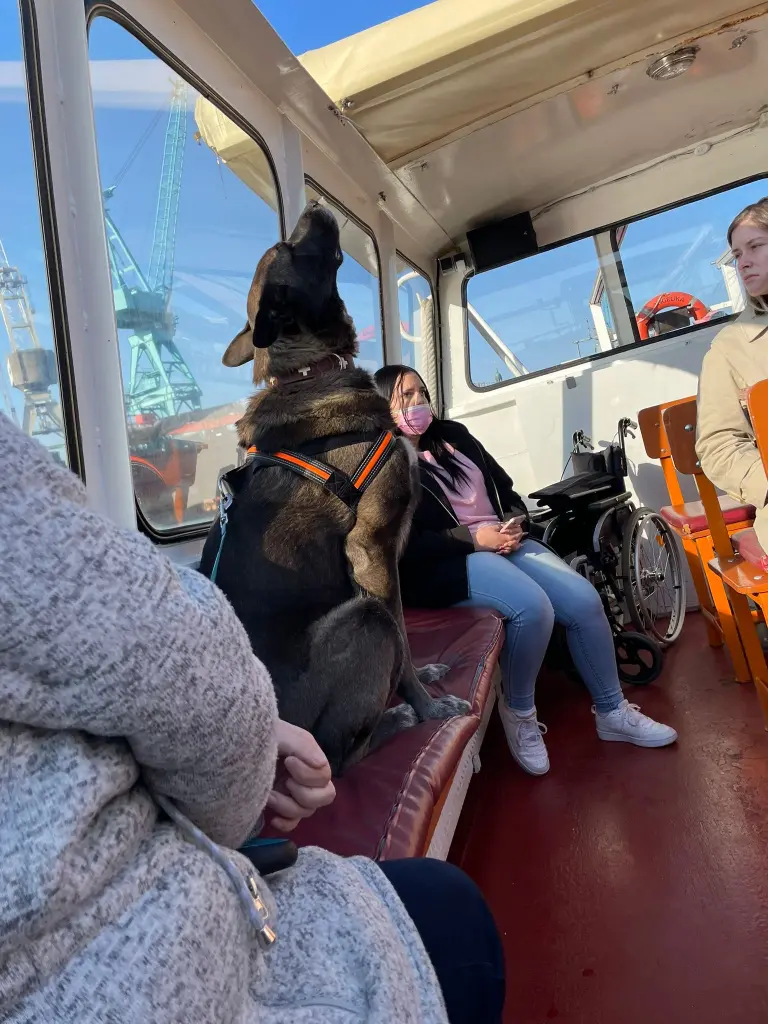 Hmmm so riecht die Hamburger Meeres Luft auf dem Schiff 🛳️