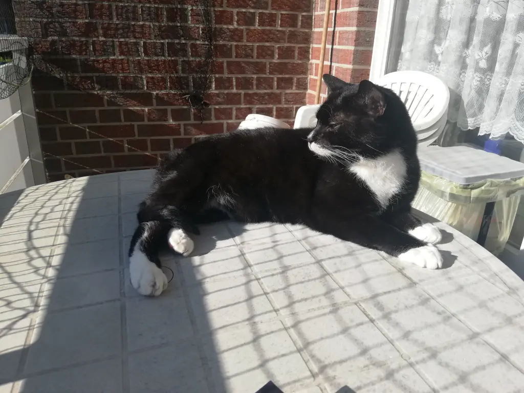 Image from Billy