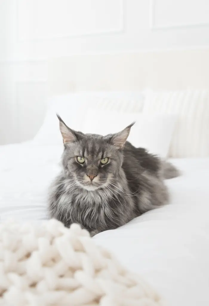 Andachtsbild von Zeliha Ä