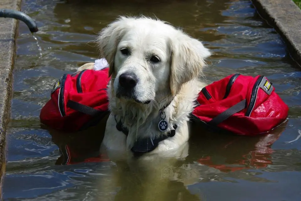 Bild von (Fräulein) Lola