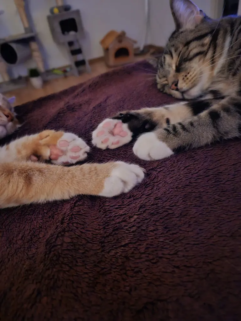 Andachtsbild von Ones Bender