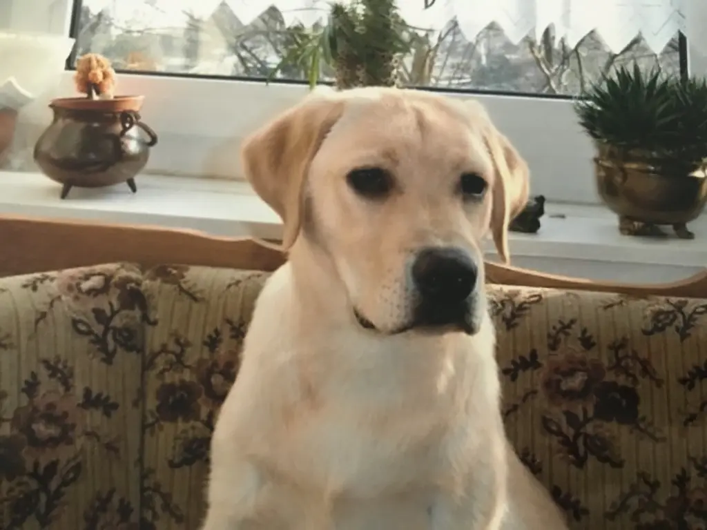 Andachtsbild von Elzbieta mit Max im Herzen