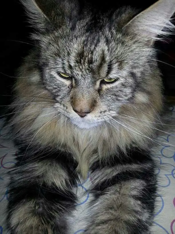 Andachtsbild von Doris