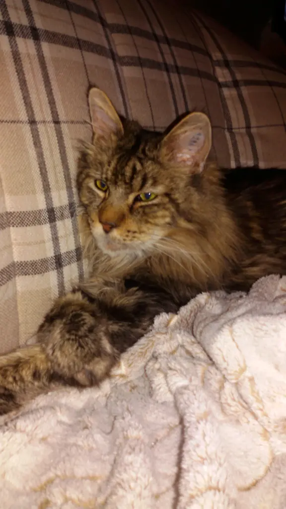 Andachtsbild von Deine Mama