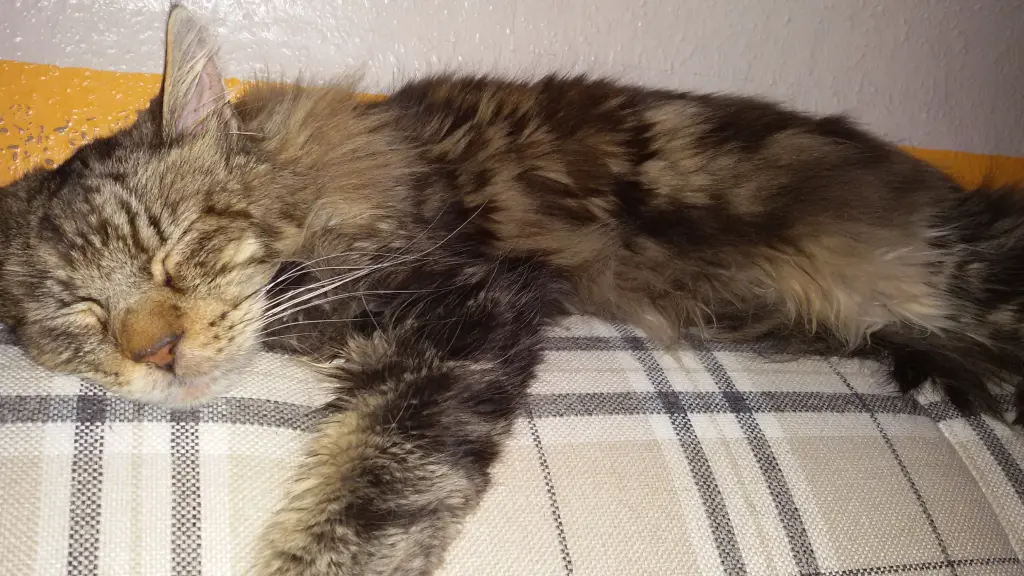 Andachtsbild von Mama u.Papa