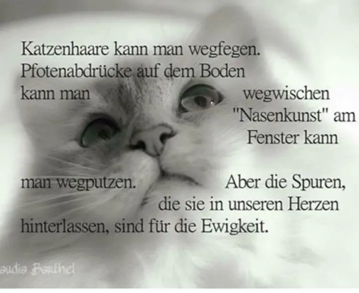 Andachtsbild von Mama u.Papa