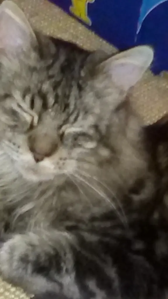 Andachtsbild von Mama u.Papa