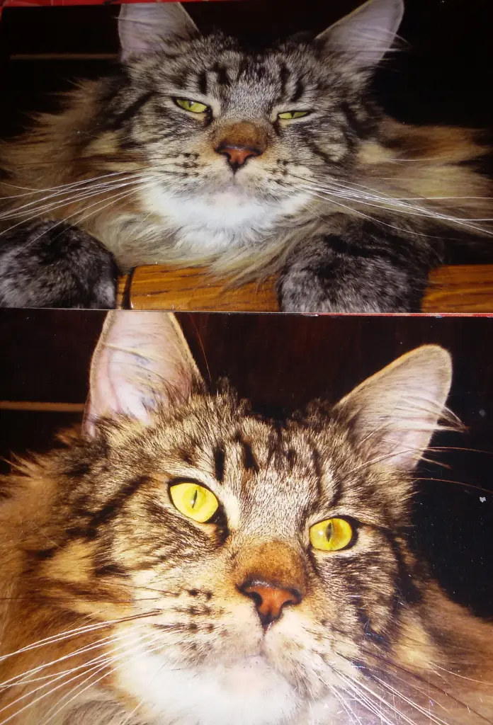 Andachtsbild von Mama u.Paa