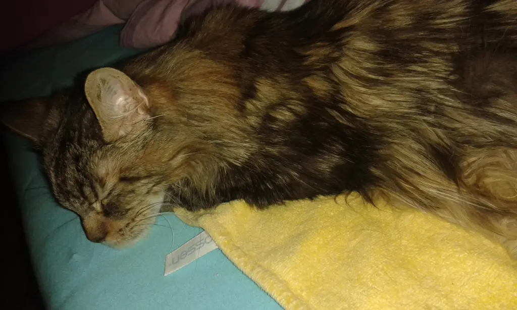 Andachtsbild von Mama u.Papa