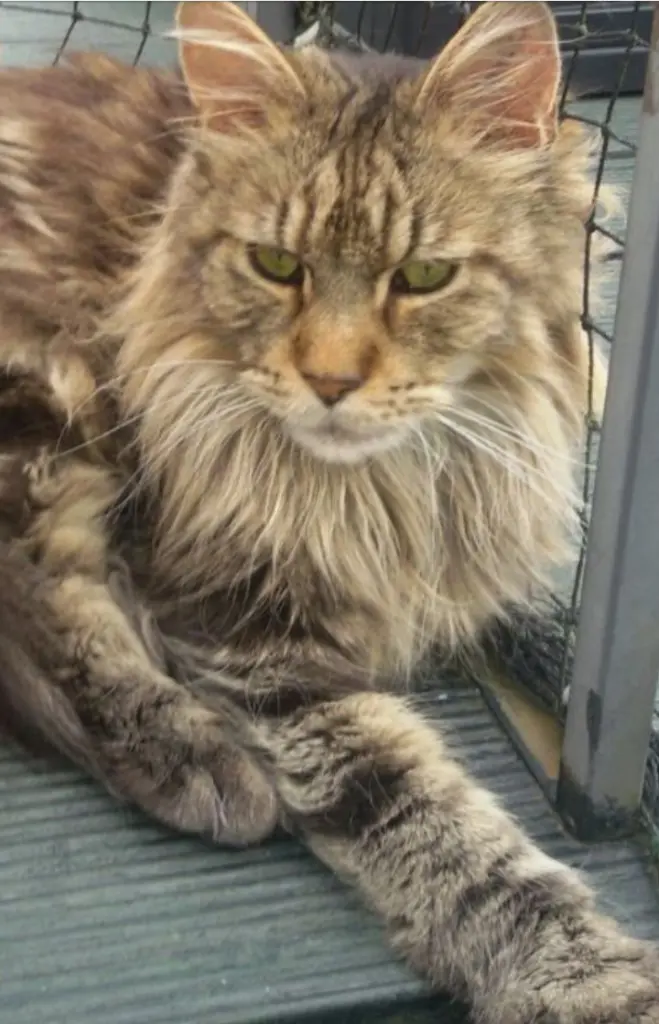 Andachtsbild von Mama u.Papa