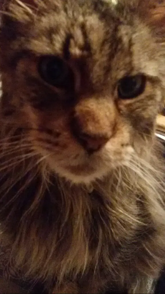 Andachtsbild von Mama u.Papa