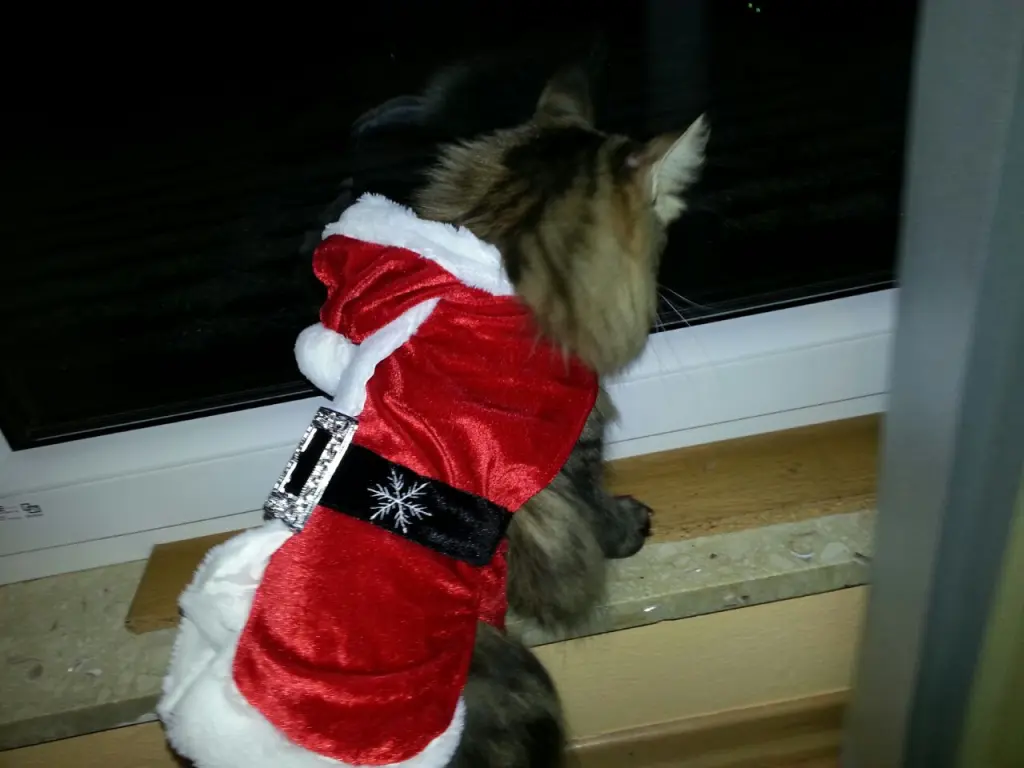 Andachtsbild von Papa und Mama