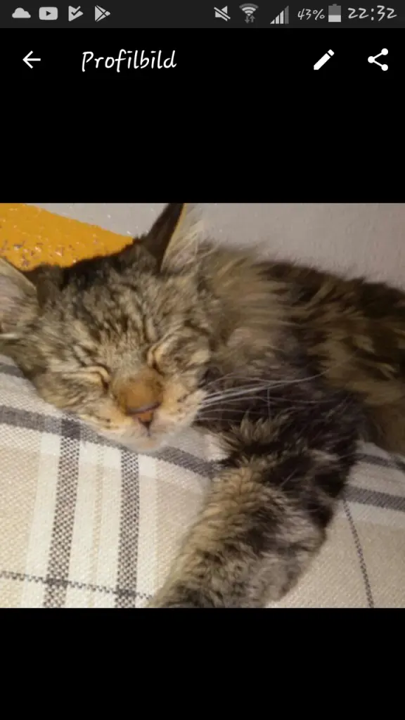 Andachtsbild von Mama u.Papa