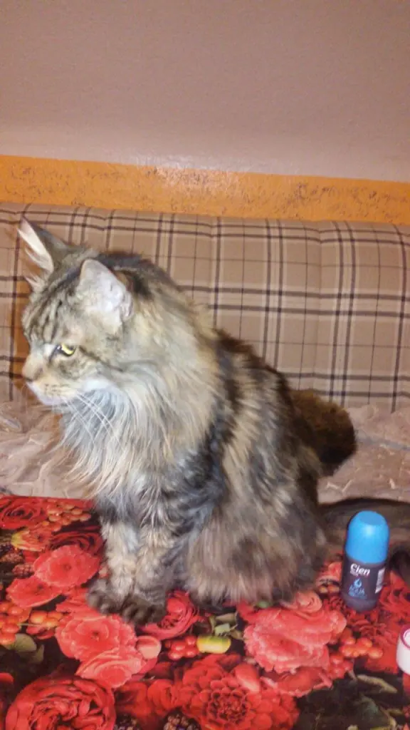 Andachtsbild von Papa und Mama