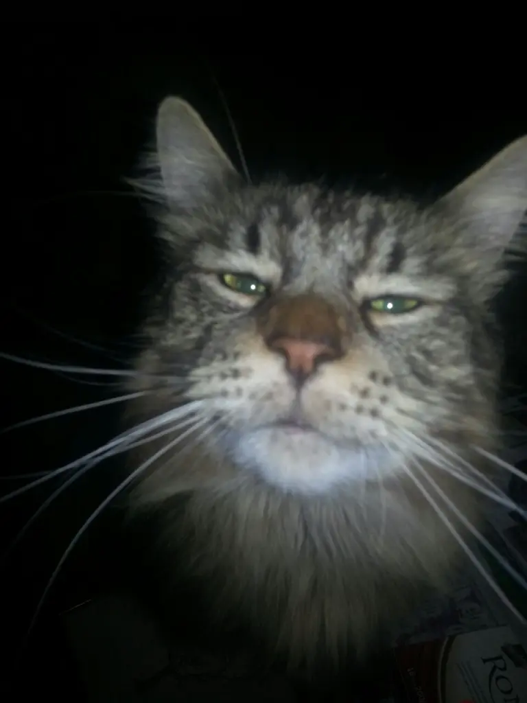 Andachtsbild von Papa und Mama