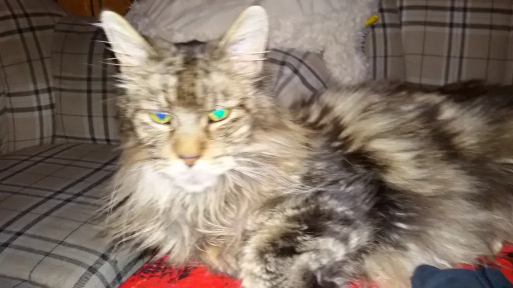 Andachtsbild von Papa u.Mama