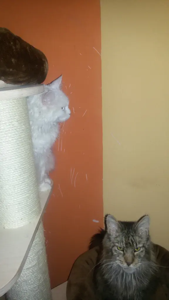 Andachtsbild von Mama und papa