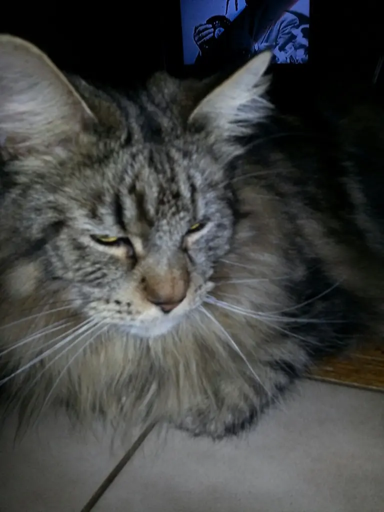 Andachtsbild von Mama und Paoa