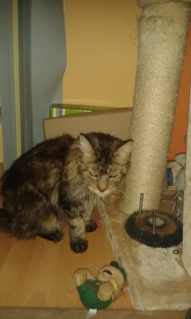 Andachtsbild von Papa u.Mama