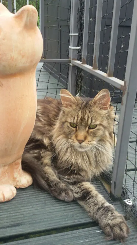 Andachtsbild von Papa zum Mama 