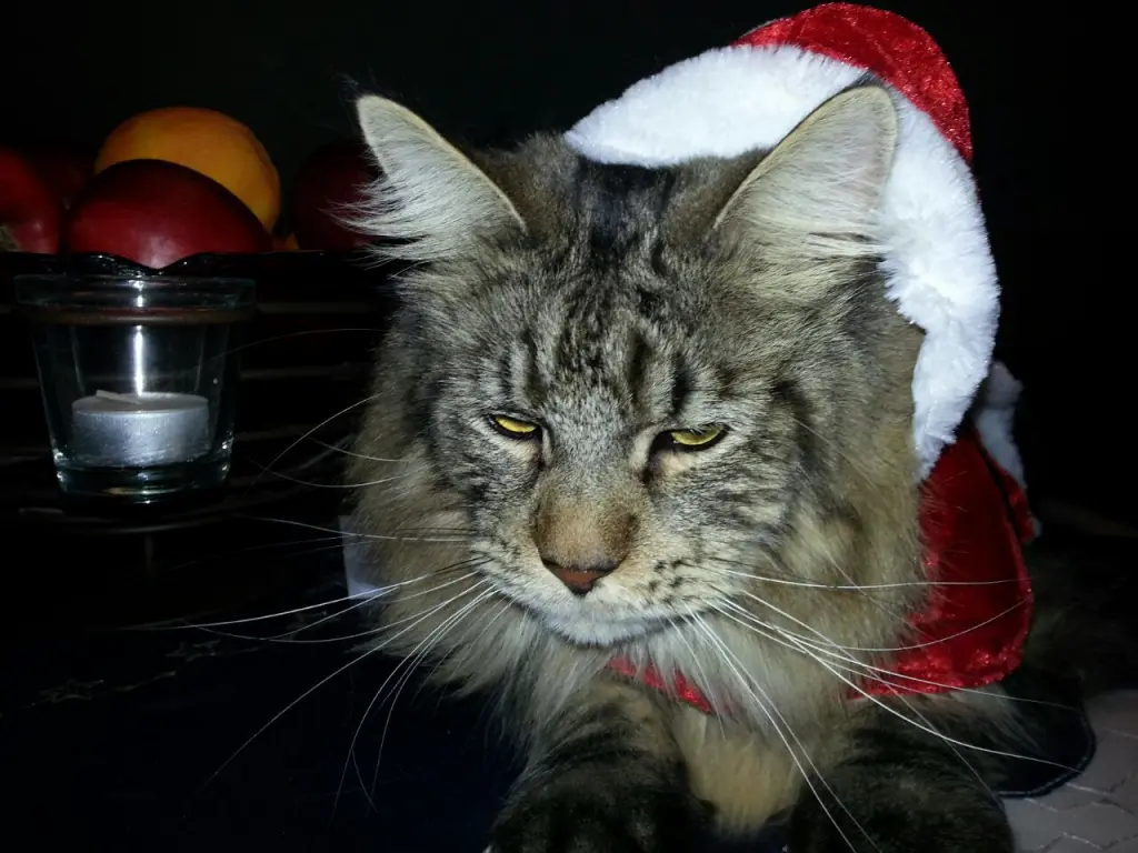 Andachtsbild von Papa und Mama