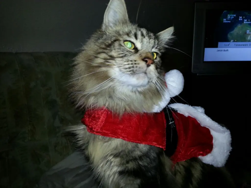 Andachtsbild von Papa und Mama