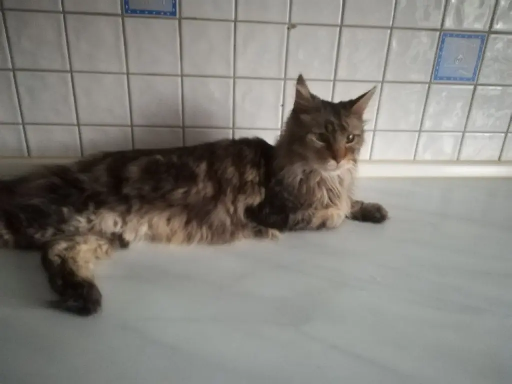 Andachtsbild von Papa und Mama