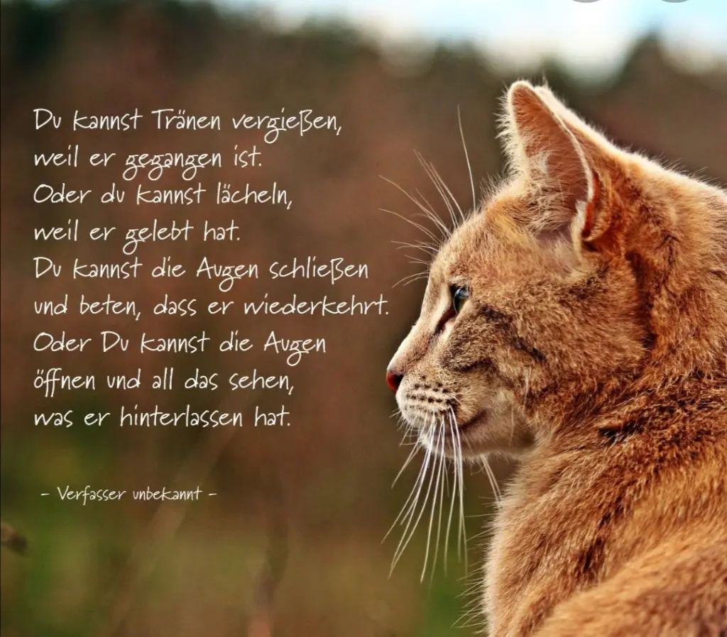 Andachtsbild von Papa u.Mama