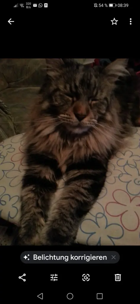 Andachtsbild von Papa und Mama