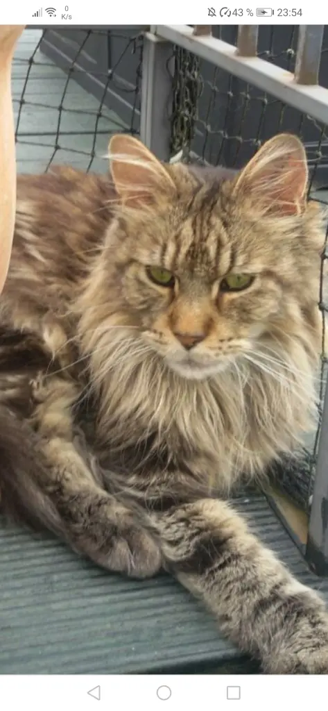 Andachtsbild von Mama und Papa