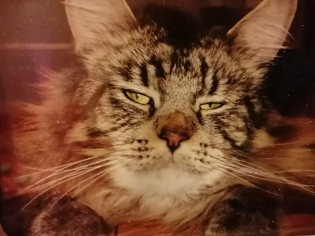 Andachtsbild von Mama und Papa