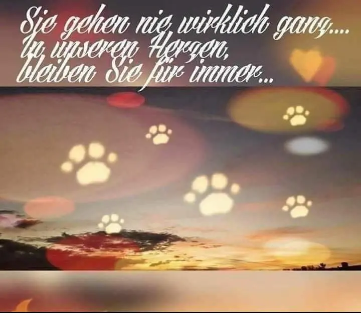 Andachtsbild von Papa