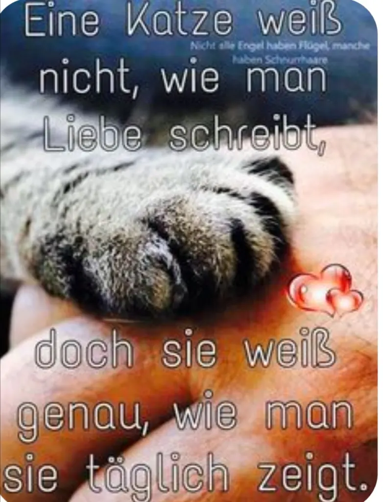 Andachtsbild von Papa u.Mama