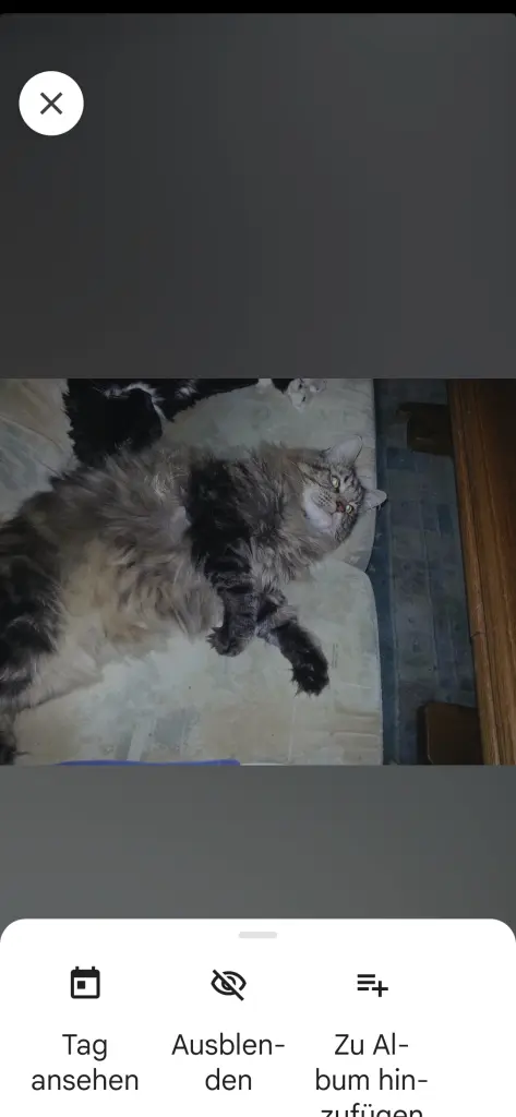 Andachtsbild von Papa u.Mama