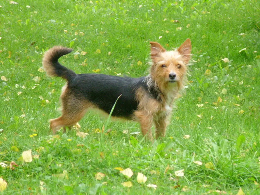 Image from Baby