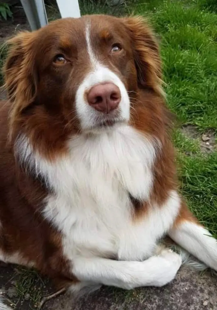 Unsere Prinzessin