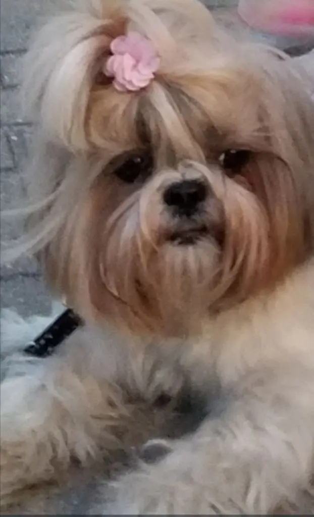 Andachtsbild von Kerstin Mit Rosalie tief im Herzen