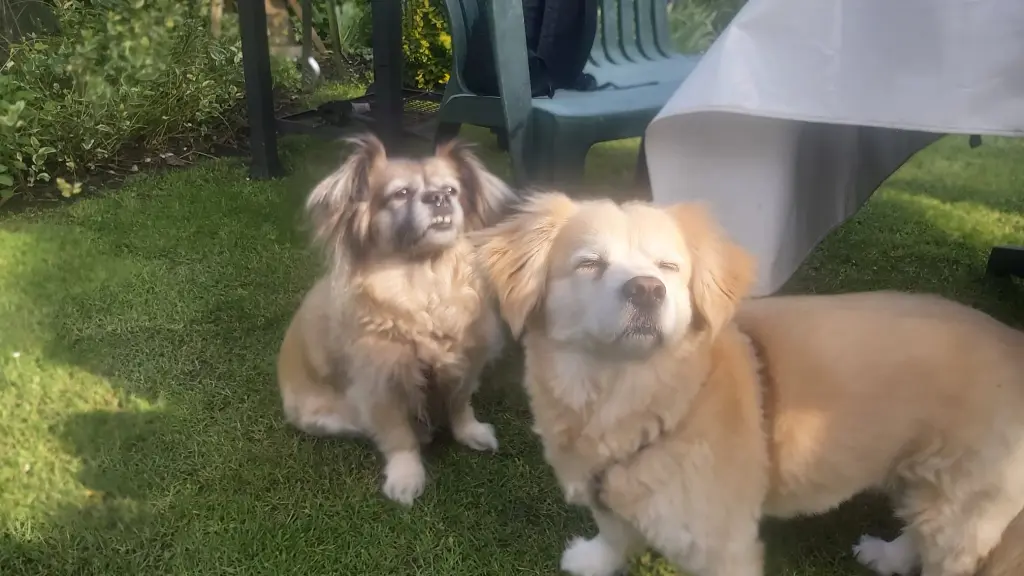 Andachtsbild von Pebbles