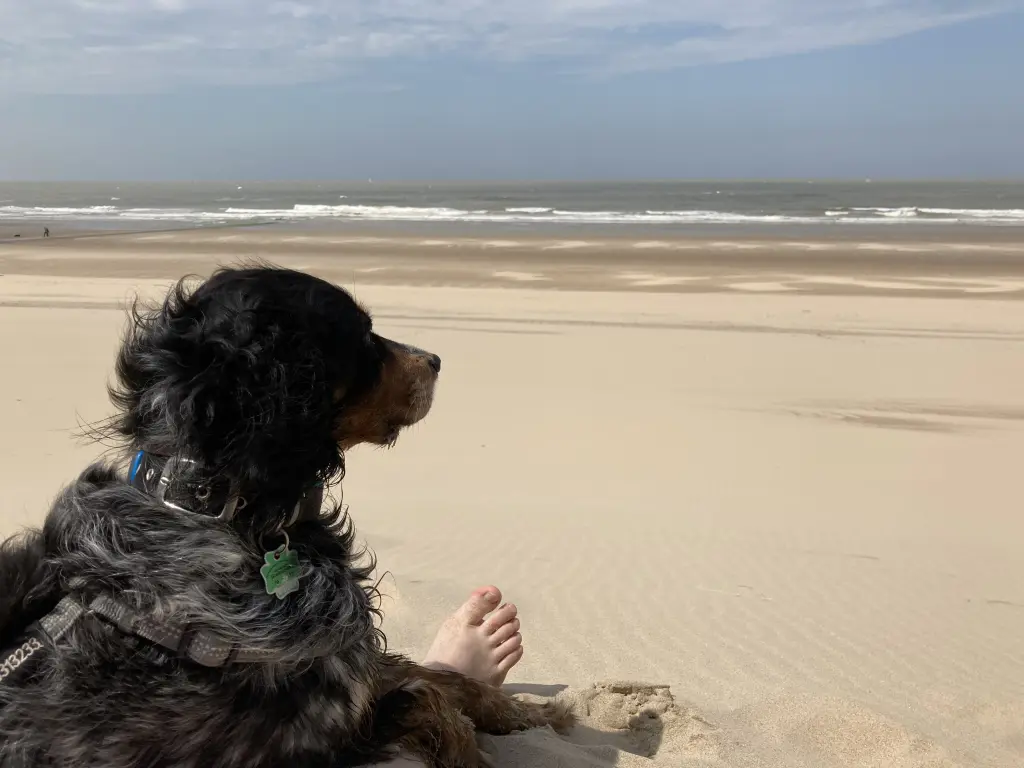 Immer ganz nah zusammen🥰