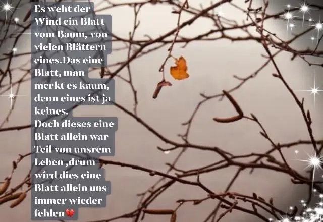 Bonny du fehlst ….❤️🩹