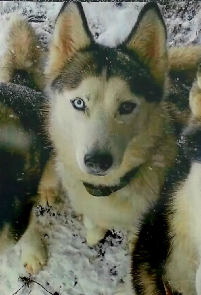Condolence image of Sandra