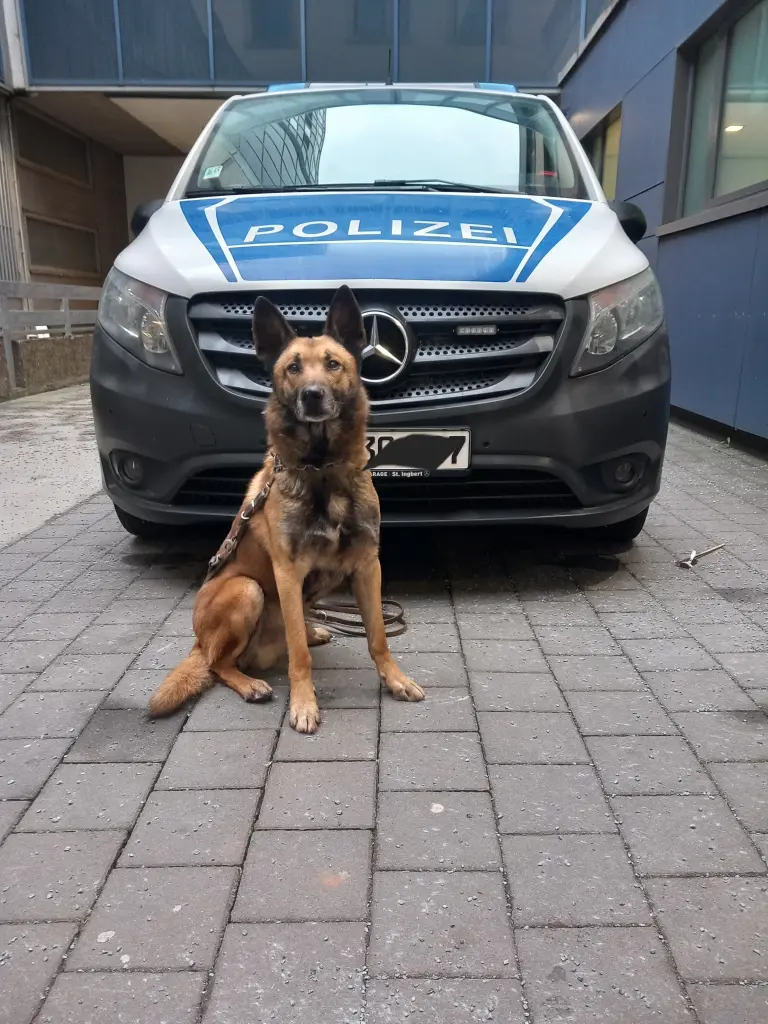 Image from Loki
